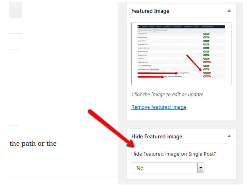 How to hide the Featured image on single view of posts!