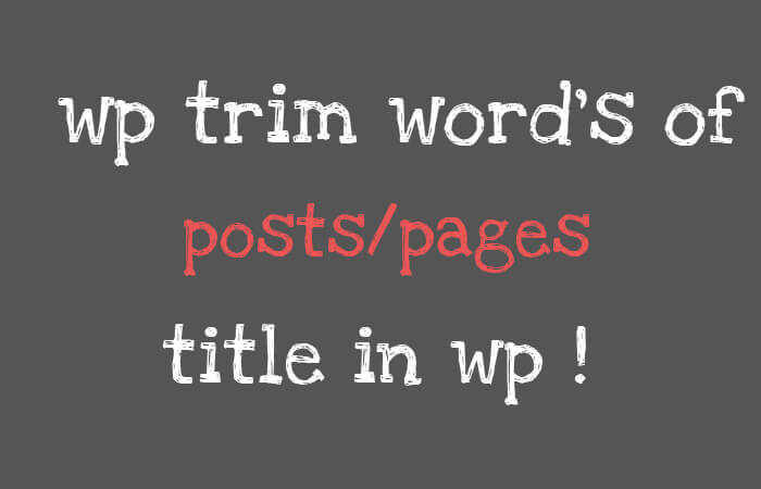 trim words in post and pages wordpress