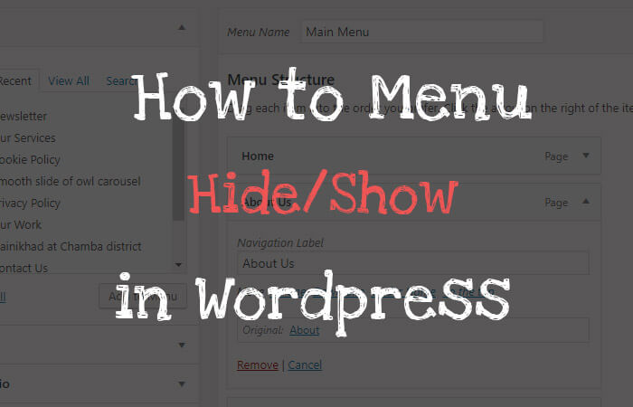 Hide or show menu in wp