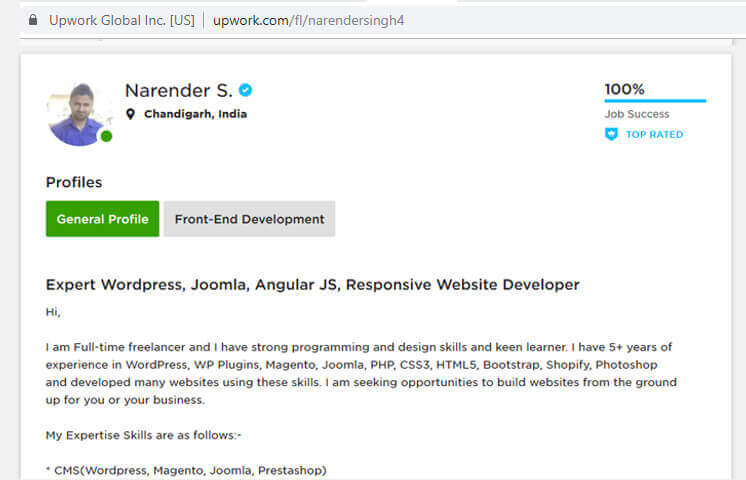 narender singh upwork profile nst web creation