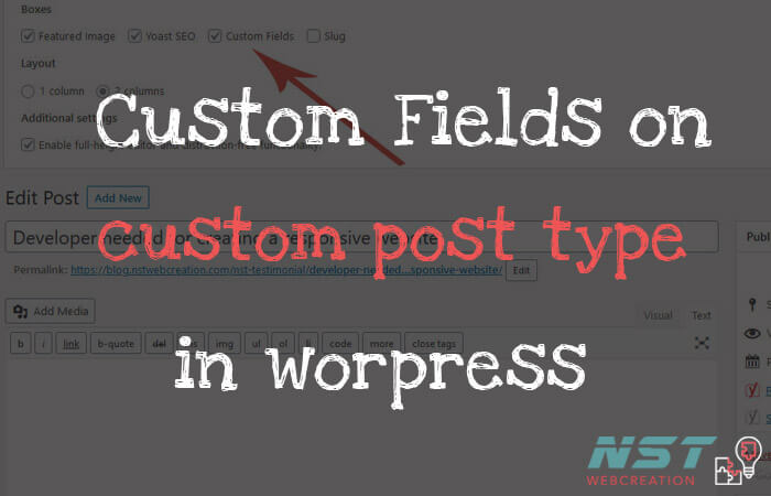 custom filed option for custom post type wordpresss