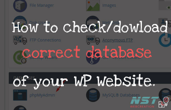 How to check correct database used in your wp website